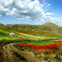 ماه اردیبهشت